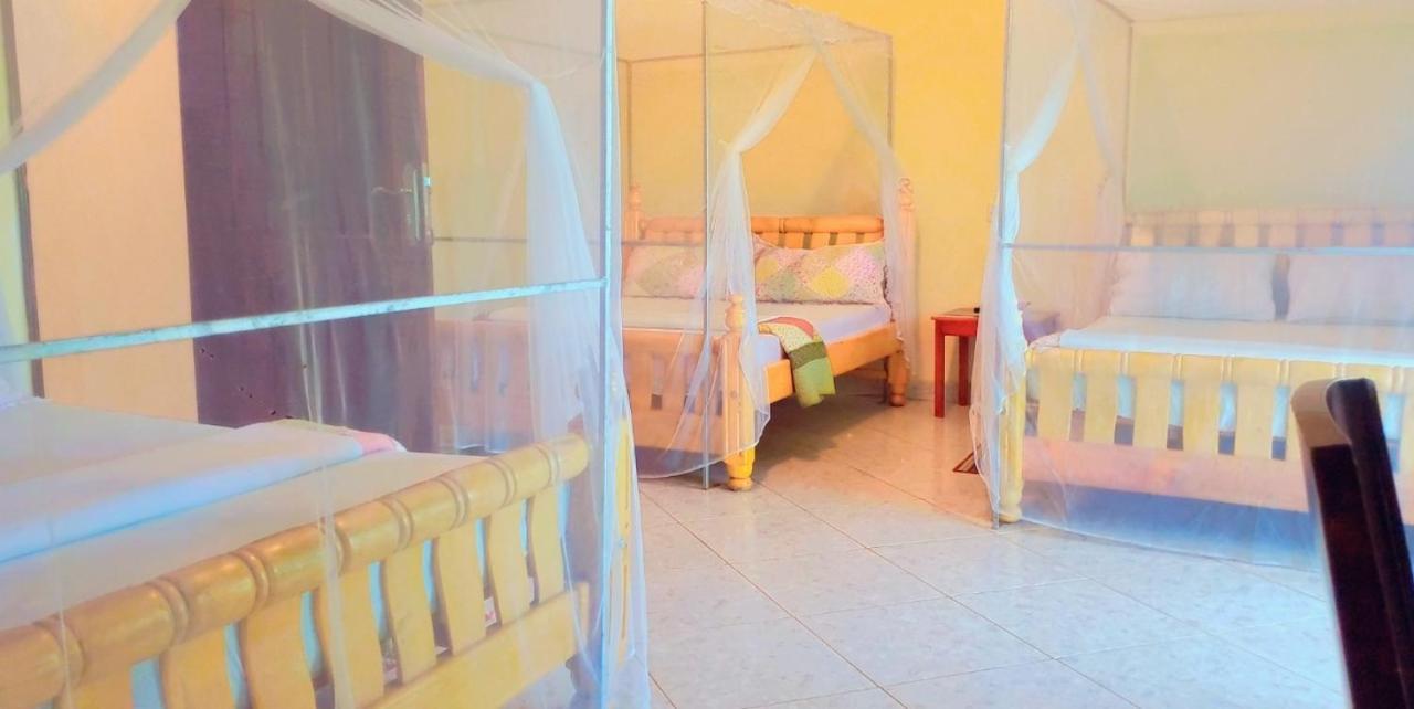 La Feve Beach Hotel And Safaris Uganda 엔테베 외부 사진